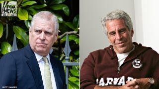 Prince Andrew, Jeffrey Epstein had 'money and sex' in common: author