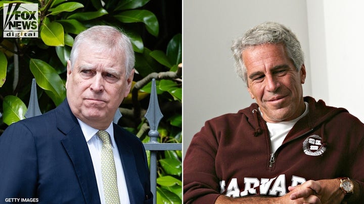 Prince Andrew, Jeffrey Epstein had ‘money and sex’ in common: author