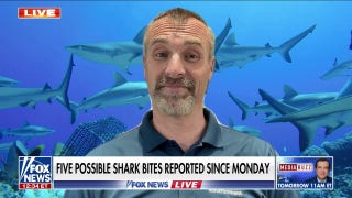 Riptides, drowning risks ‘a lot more dangerous’ than sharks: Dr. Mike Heithaus - Fox News