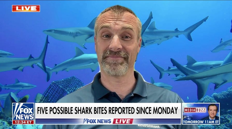 Riptides, drowning risks ‘a lot more dangerous’ than sharks: Dr. Mike Heithaus