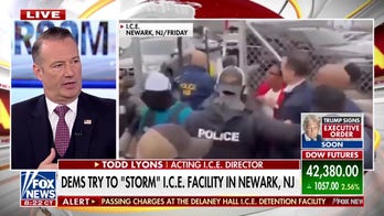 Acting ICE director condemns Democrats' 'political stunt' after physical confrontation outside facility