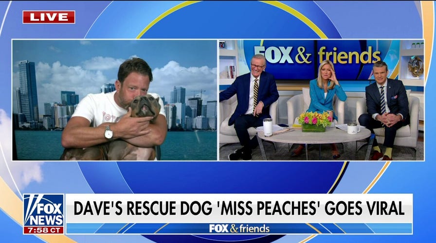 Dave Portnoy's rescue dog Miss Peaches goes viral: 'The sweetest angel'