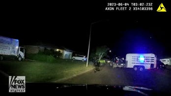 Bull on the loose while owner eats a taco