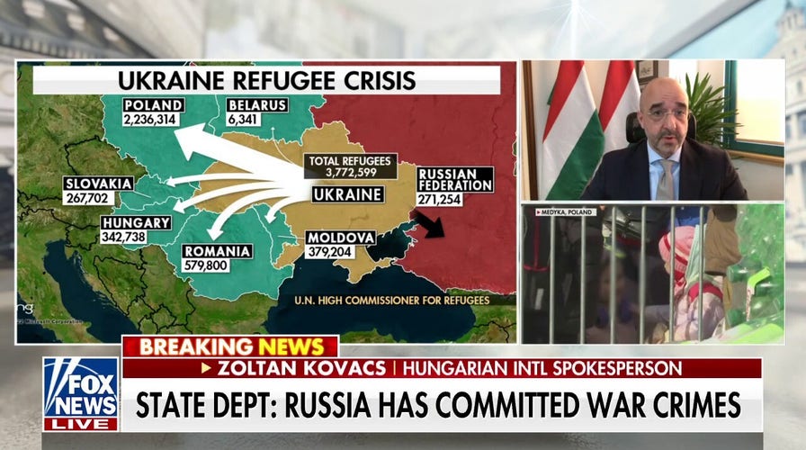 How Hungary is handling the influx of Ukrainian refugees