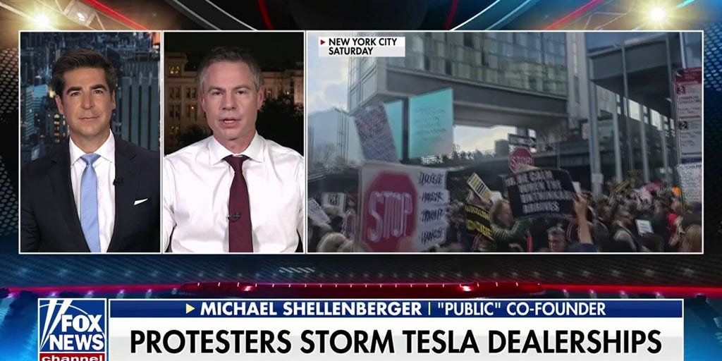 DOGE's only agenda is to make America great again: Michael Shellenberger