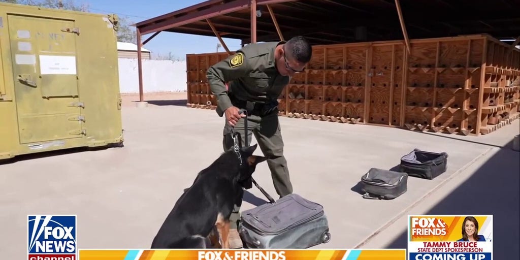Protecting the border with the CBP K-9 unit