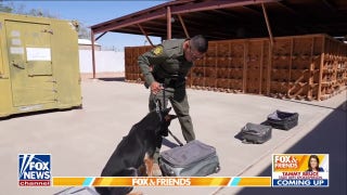 Protecting the border with the CBP K-9 unit