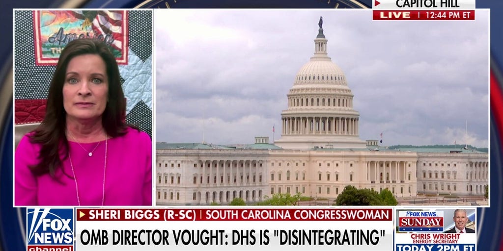 Democrats are 'playing petty politics': GOP lawmaker