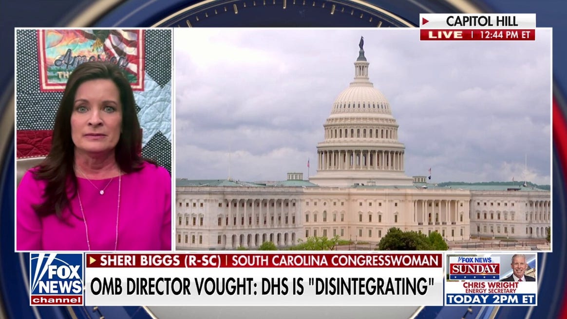 Democrats are 'playing petty politics': GOP lawmaker