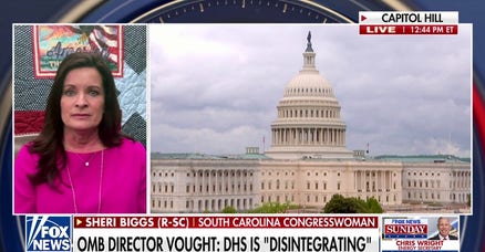 Democrats are 'playing petty politics': GOP lawmaker