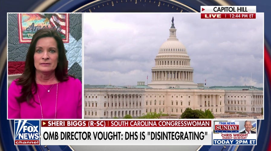 Democrats are 'playing petty politics': GOP lawmaker