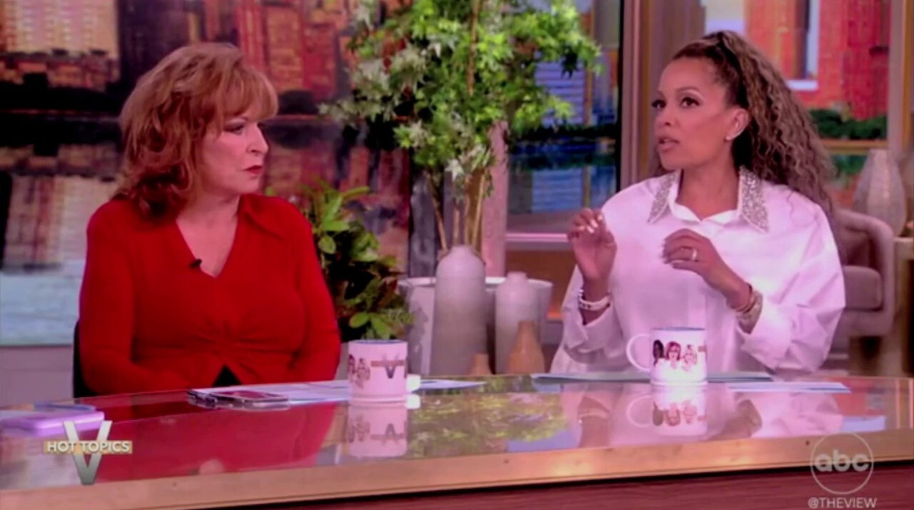 Joy Behar Rebukes Democratic 