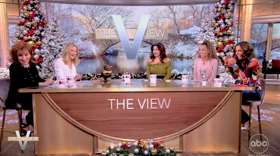 Triumph The Insult Comic Dog roasts 'The View' for how it treats other women, conservatives