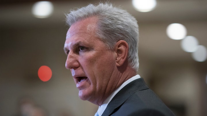 McCarthy: Hundreds cross southern border daily without being stopped