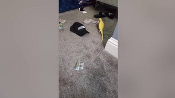 Parrot assists police in uncovering major drug operation