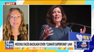 Blue state governor's climate law a plot to 'get the left aligned with her,' journalist says - Fox News