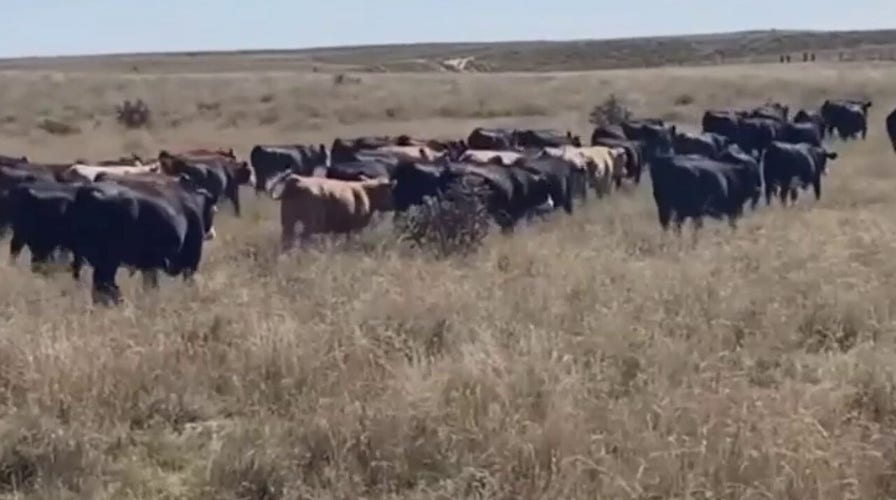 Globalism is killing US farms under guise of 'sustainability'