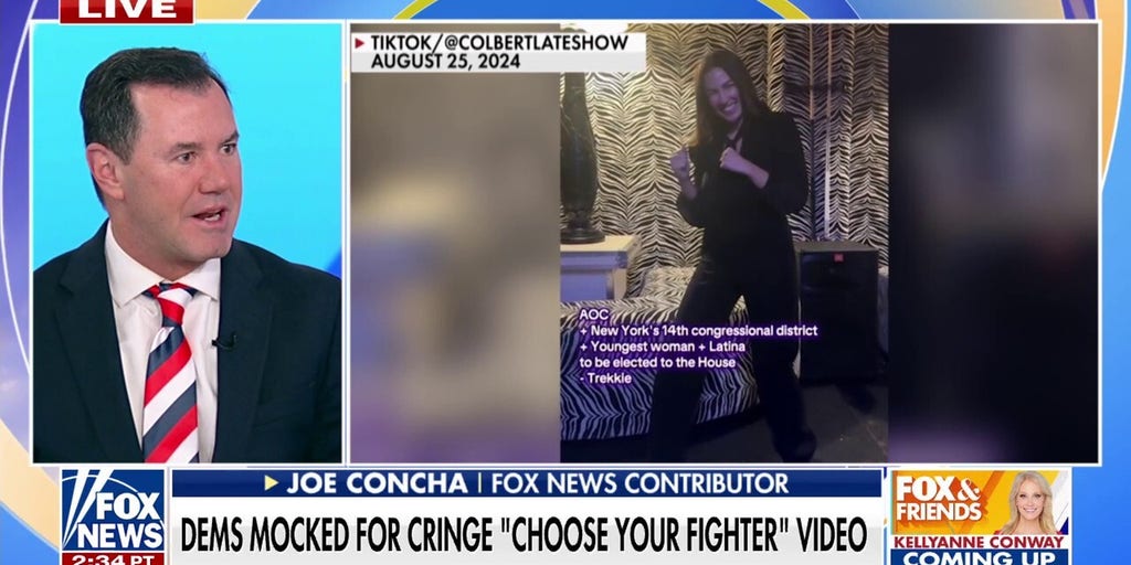 White House mocks Democrats' 'choose your fighter' TikTok: 'America chose its fighters last November'