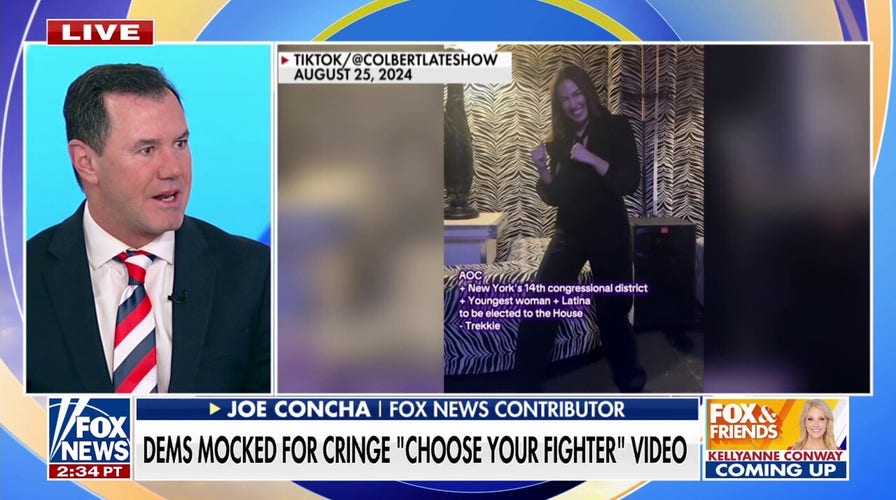 White House mocks Democrats' 'choose your fighter' TikTok: 'America chose its fighters last November'