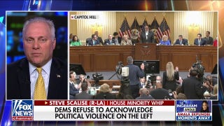 Democrats know what Americans are angry about: Scalise - Fox News
