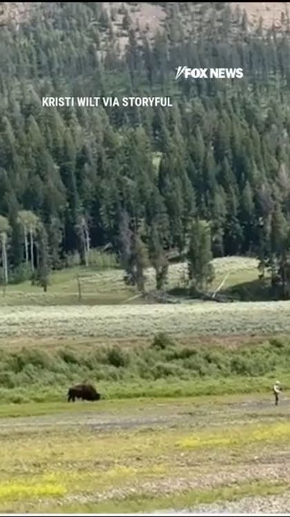 SEE IT: Bystanders help man avoid bison attack
