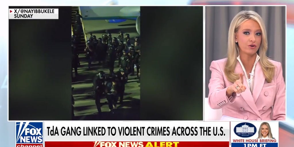 Kayleigh McEnany: Trump admin is on 'firm footing' with deportation flight despite judge's order