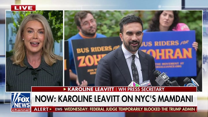 Leavitt addresses Trump's call with Putin and Zohran Mamdani's Fox News interview