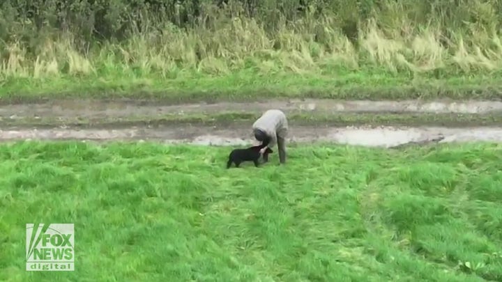 Blind Labrador dog is reunited with its owner with the help of a drone after going missing for three days 