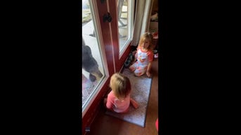Bear pays family a SURPRISE VISIT