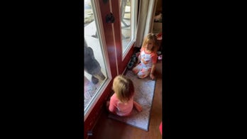 CLOSE ENCOUNTERS: Bear shows up at cabin door as toddlers play inside