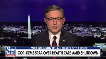 Democratic Party shut down the government over a 'simple matter': Mike Johnson