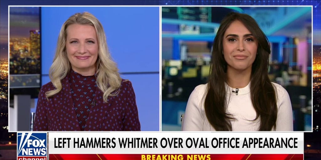 Democrats should be ‘leaning into’ Whitmer’s Oval Office appearance, Elisha Krauss says