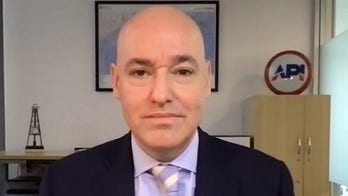 Big oil price-gouging allegations are not credible: American Petroleum Institute