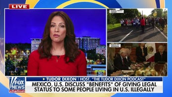 Tudor Dixon on Mexico, US 'regularizing' illegal immigration: 'Worst case scenario'