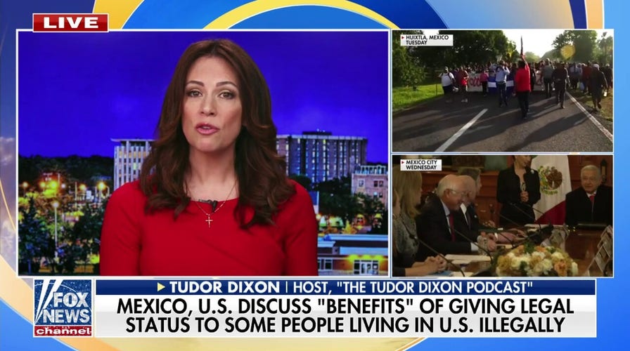Tudor Dixon on Mexico, US 'regularizing' illegal immigration: 'Worst case scenario'