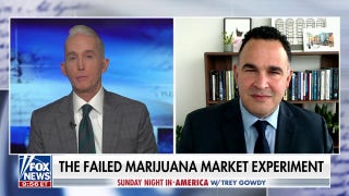 ‘We need to be careful about mass marijuana commercialization’: Dr. Kevin Sabet - Fox News
