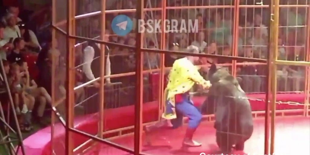 Russian circus bear attacks trainer
