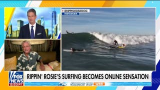 Surfing dog Rippin’ Rosie wins world championship, becomes online sensation