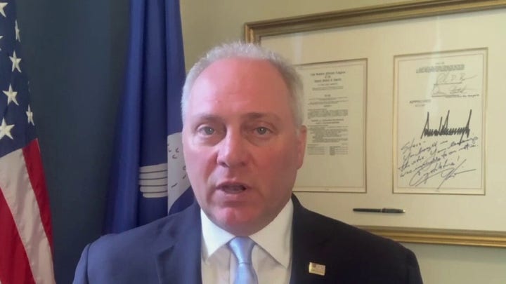 Scalise on Pelosi pulling FISA vote: Bill wasn't ready for 'prime time'