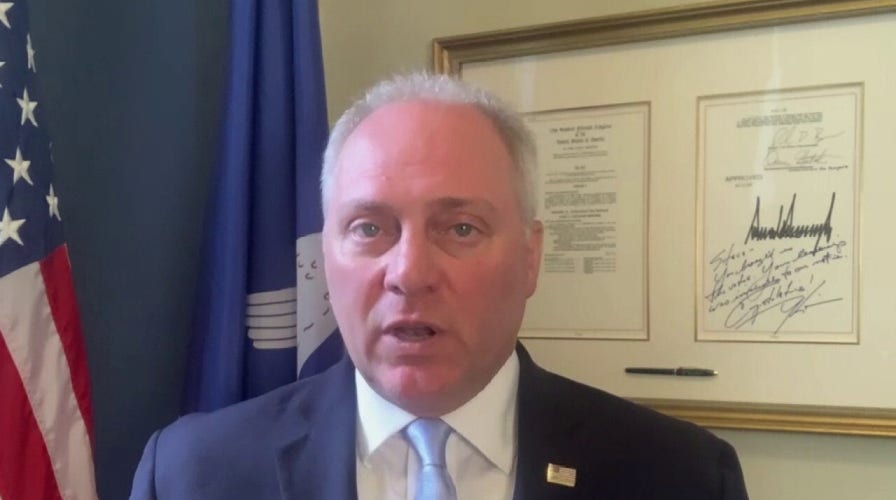 Scalise on Pelosi pulling FISA vote: Bill wasn't ready for 'prime time'