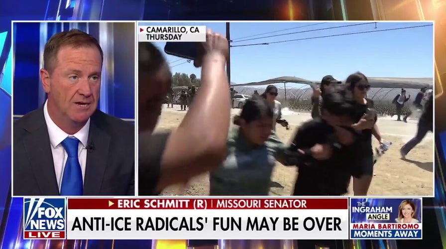 All Democrats have left is 'political violence,' GOP senator says