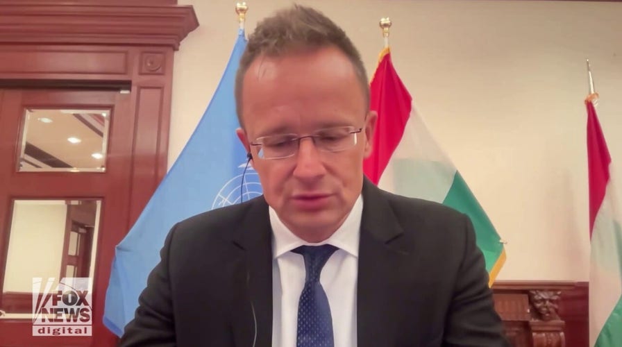 Hungarian Foreign Minister says he sees similarities with US on border crisis