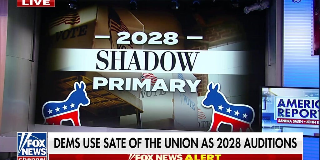 Karl Rove: Harris teases 2028 run, Newsom attacks Trump in 'shadow primary'