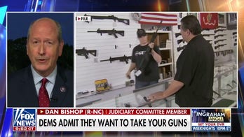 GOP lawmaker says Democrats have 'made it clear' they want to 'defy the Supreme Court' over gun rights