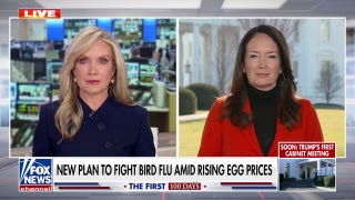 Trump admin to deregulate egg industry to combat high prices, says USDA secretary