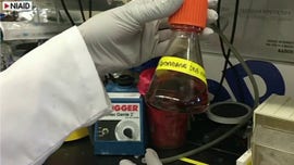 Australia begins testing 2 potential coronavirus vaccines, including one from US