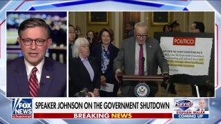 House Speaker Mike Johnson slams Democrats for 'acting like a bunch of clowns'
