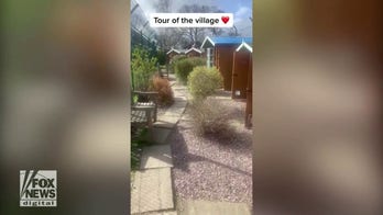 Elderly cats live in retirement village: See their little cottages!