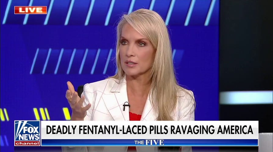 Fentanyl crisis is 'most bipartisan issue you can find': Dana Perino
