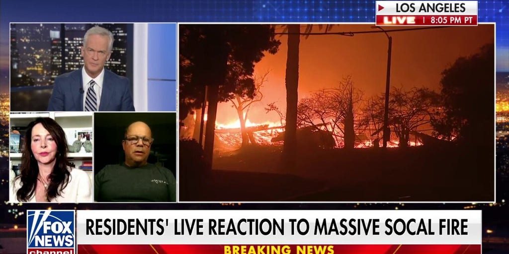 'Quite a frightening sight': Palisades resident reacts to massive fire